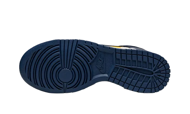 Nike Dunk Low "Michigan" Long Walks Water Resistant