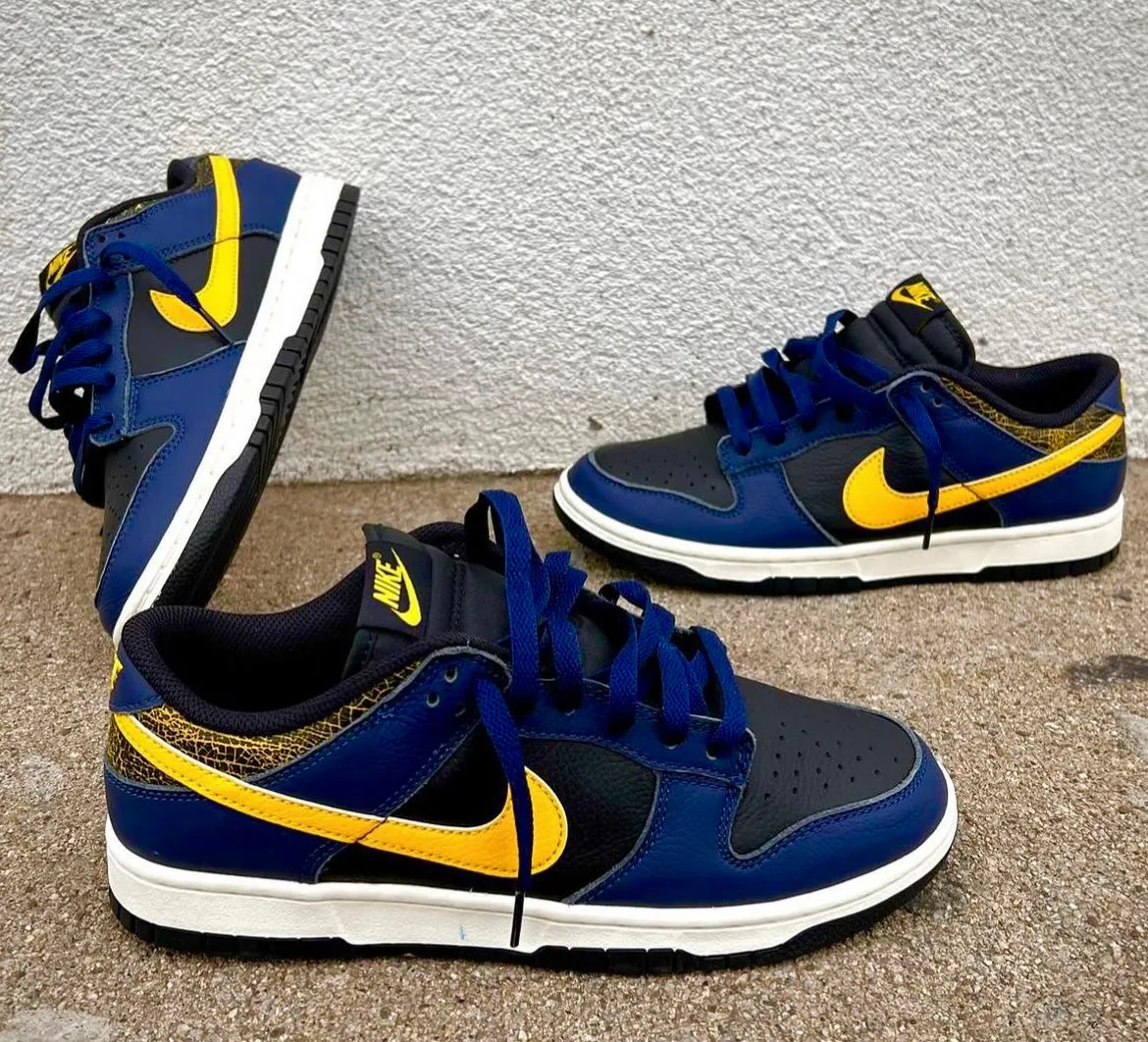 NIKE DUNK LOW MICHIGAN Indoor Friendly Stylish Motion