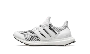 Moist Dry Ultraboost 5.0 DNA GS