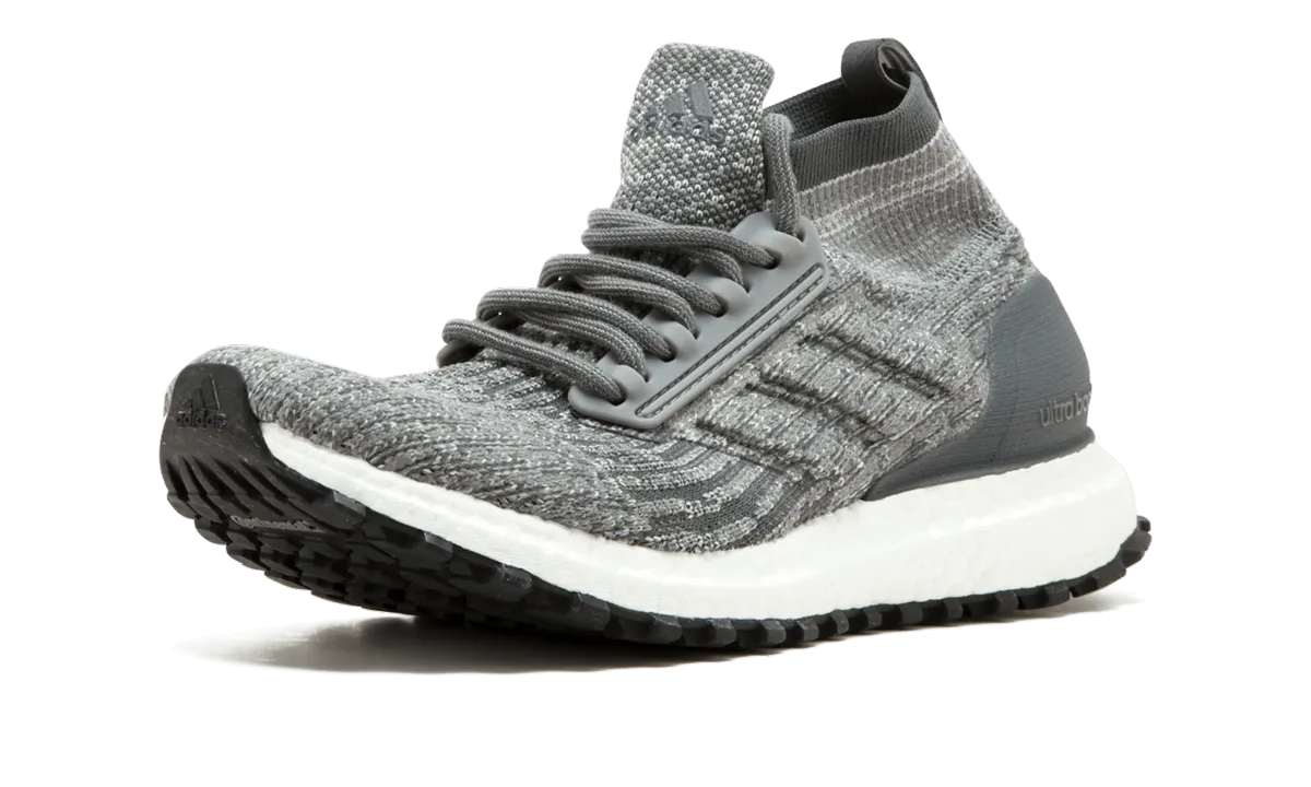Balanced weight Lightweight Walk UltraBOOST All Terrain J