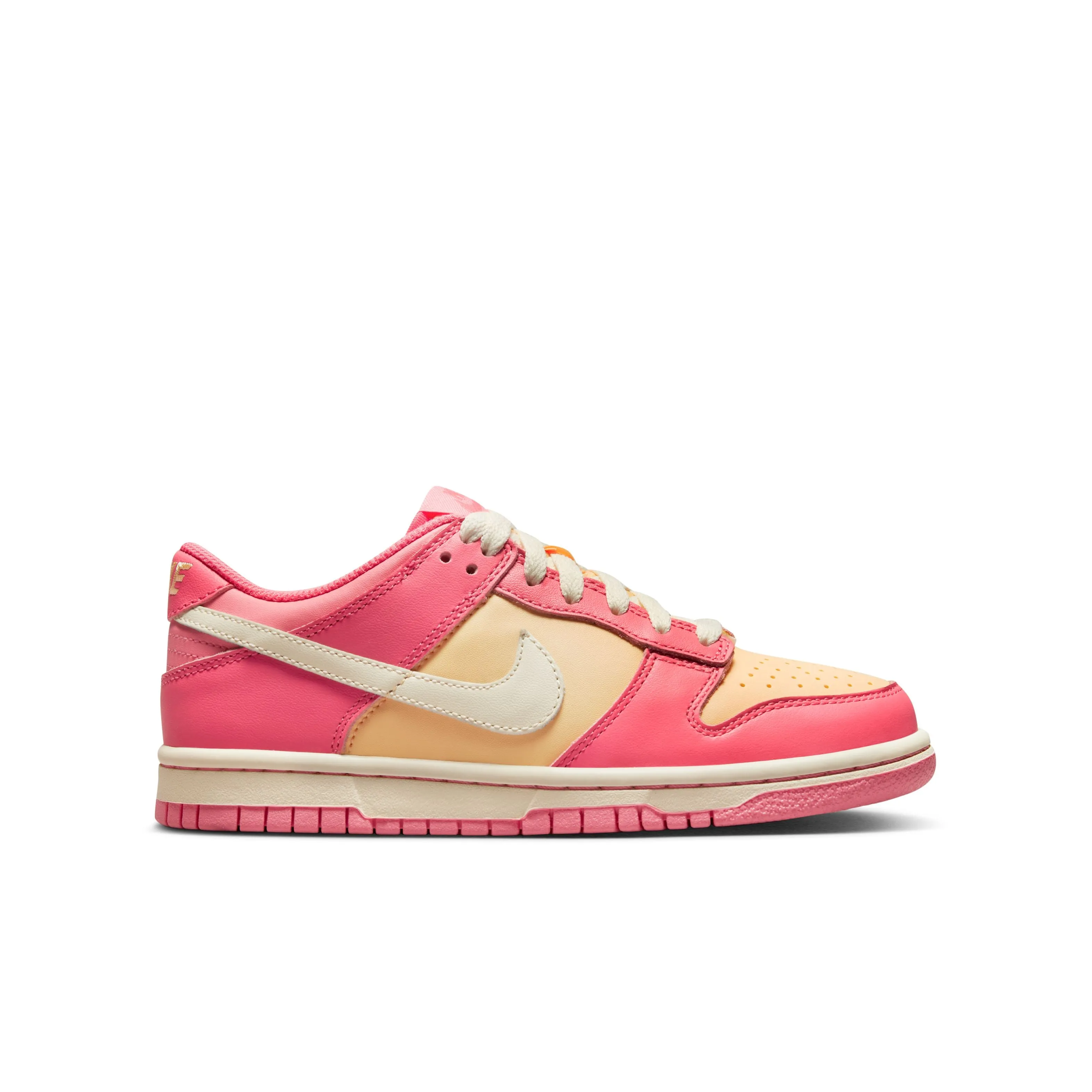 Sea Aqua Fresh Steps Dunk Low Lifestyle Shoes