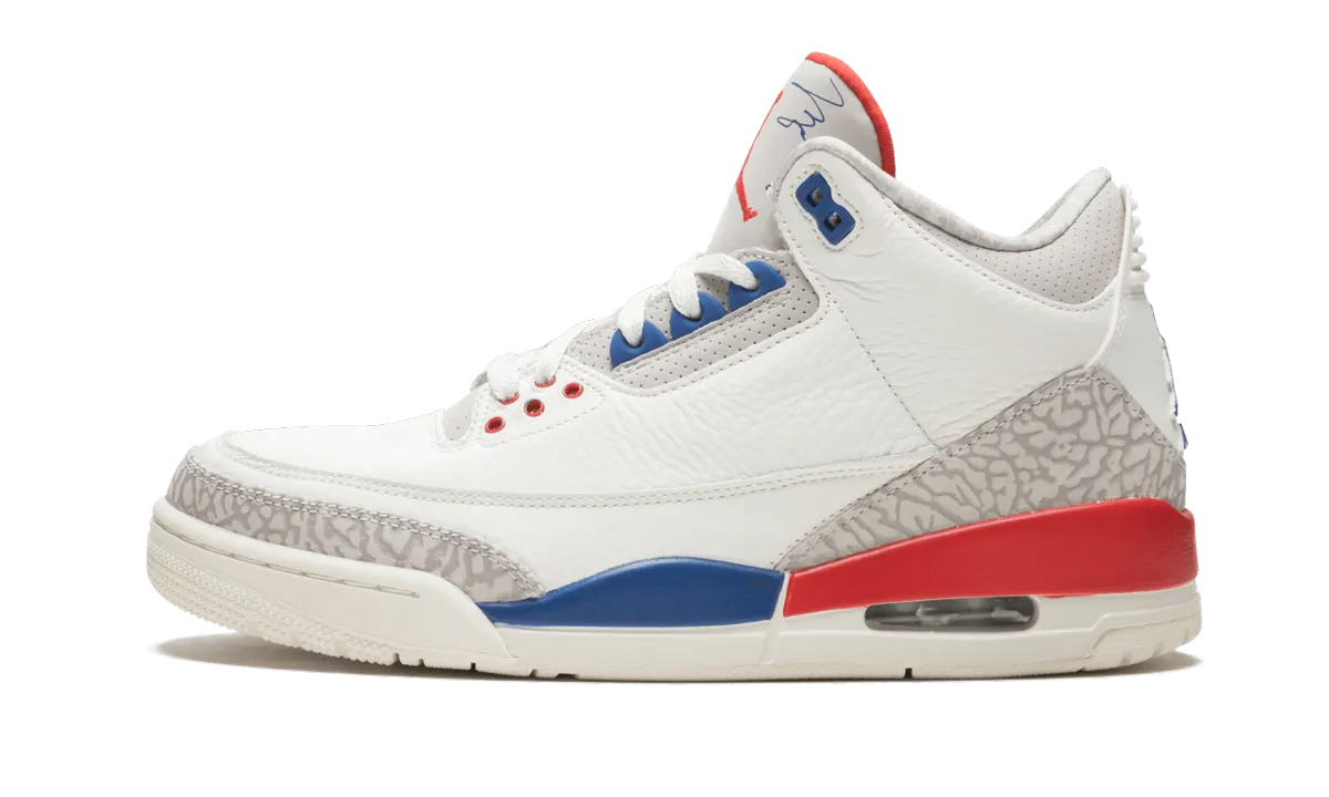 Antibacterial Air Jordan 3 Retro "International Flight"