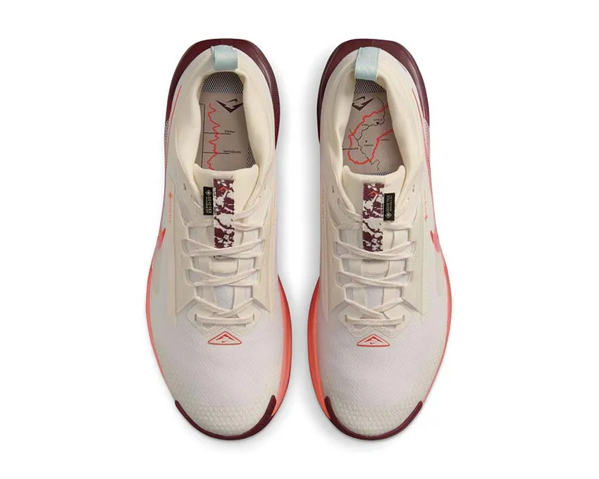 Reliable Performance Nike Pegasus Trail 5 GTX "Silt Red"