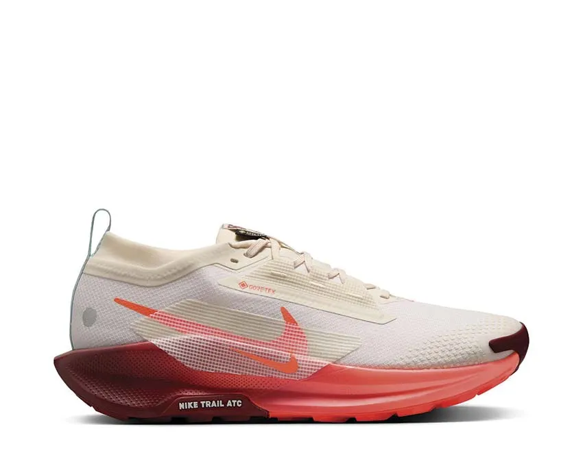 running in a fixed bridge area shoes Durable Fabric Nike Pegasus Trail 5 GTX "Silt Red"