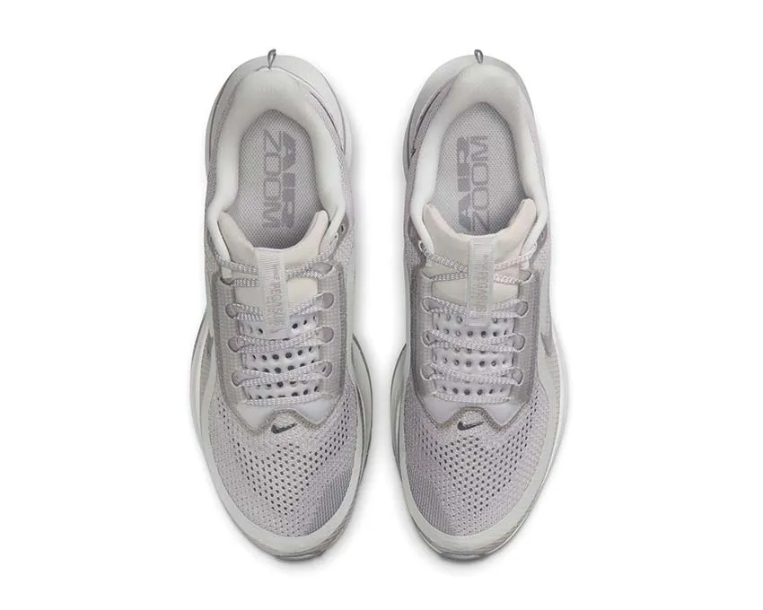 Sunny day run Functional Nike Pegasus Premium "Cement Grey"