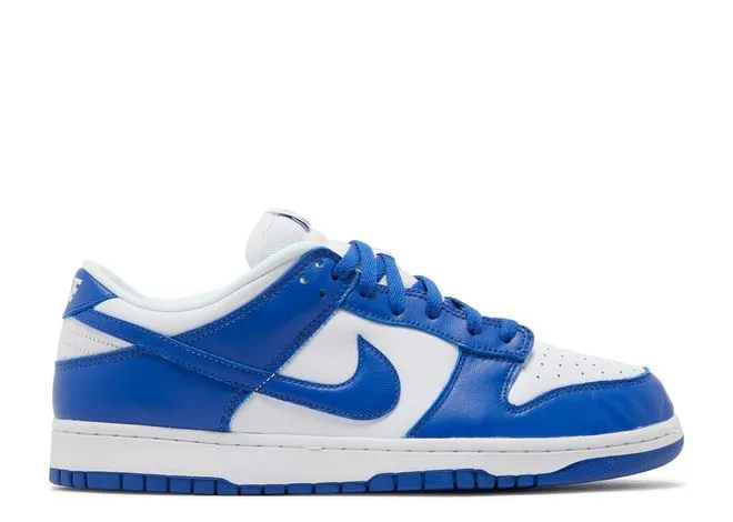 Nike Dunk Low SP Kentucky (2020/2022) Planet Run