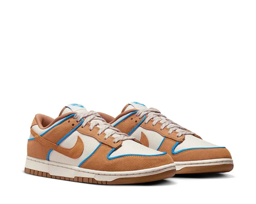 Chill Walk Nike Dunk Low Retro Prm