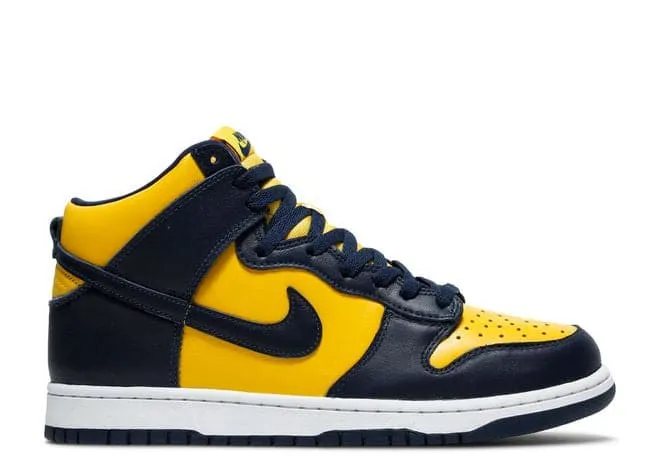 Current Hike Nike Dunk High Michigan (2020)