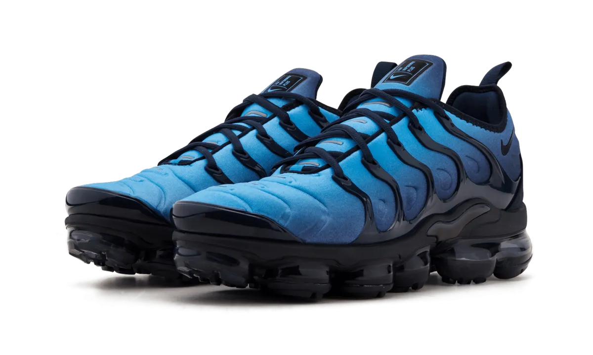 Daily Use occasional use Air Vapormax Plus "Obsidian"
