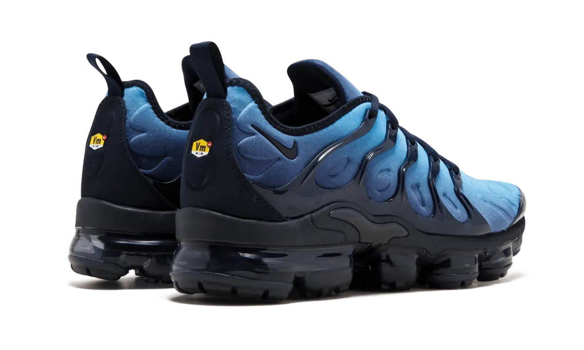 running for a sense of accomplishment Adaptive Motion Air Vapormax Plus "Obsidian"