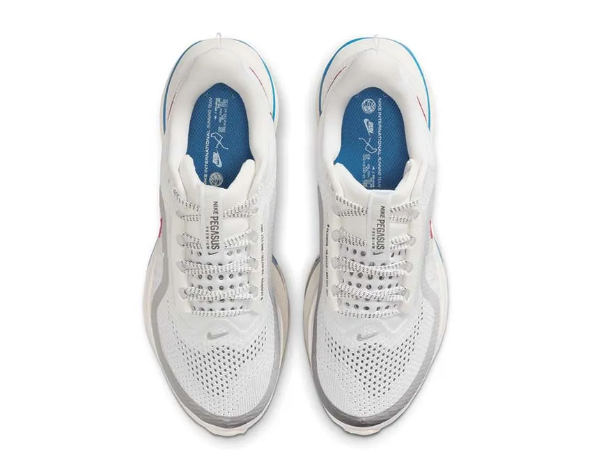 Flexible Sole Nike Pegasus Premium W "Forest Gump"