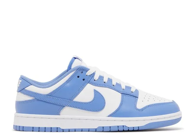 Nike Dunk Low Polar Blue Mood Fit Road Fit