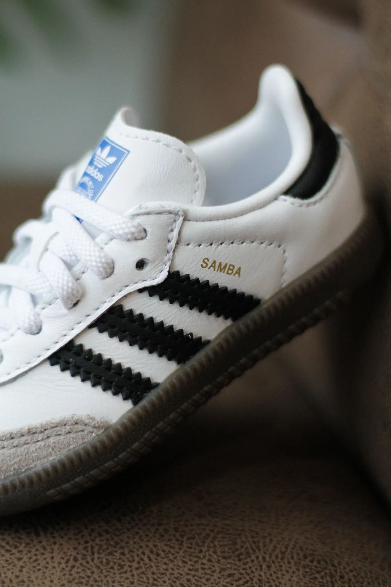 SAMBA OG (PS) "CLOUD WHITE" Quick-Move Wind Safe Wet Land