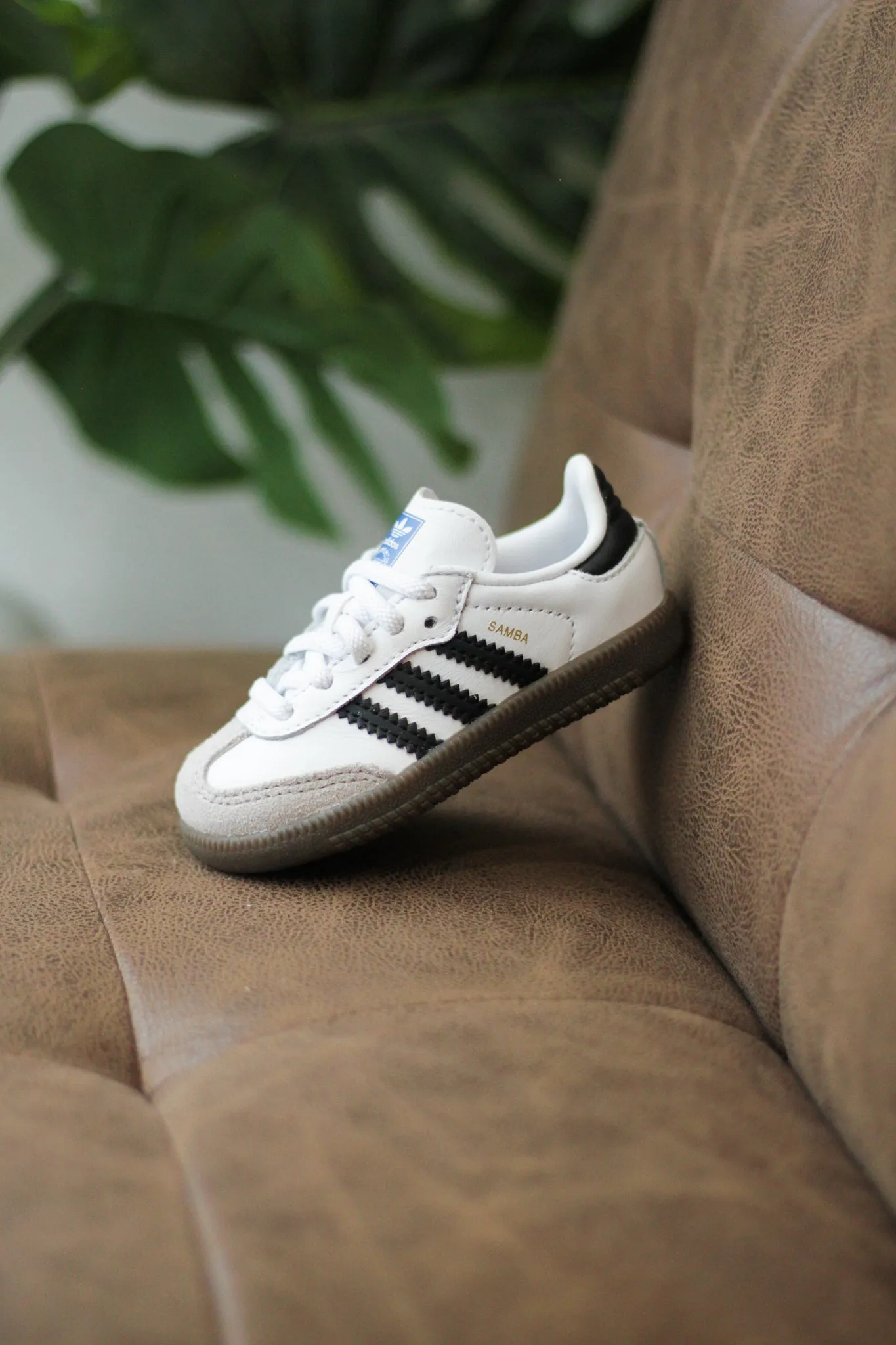 SAMBA OG (PS) "CLOUD WHITE" Quick-Move Planet Mood Durable Construction