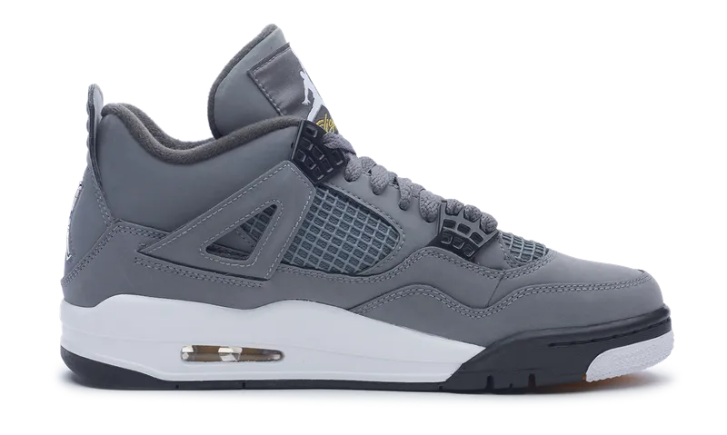 Travel Essential nike Air Jordan 4 Retro Cool Grey (2019)