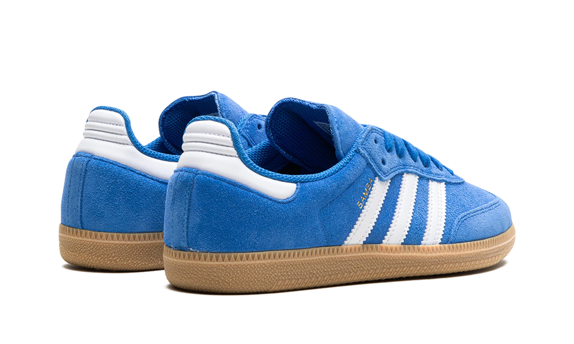 Samba Adv "Blue Bird" Guard Hike