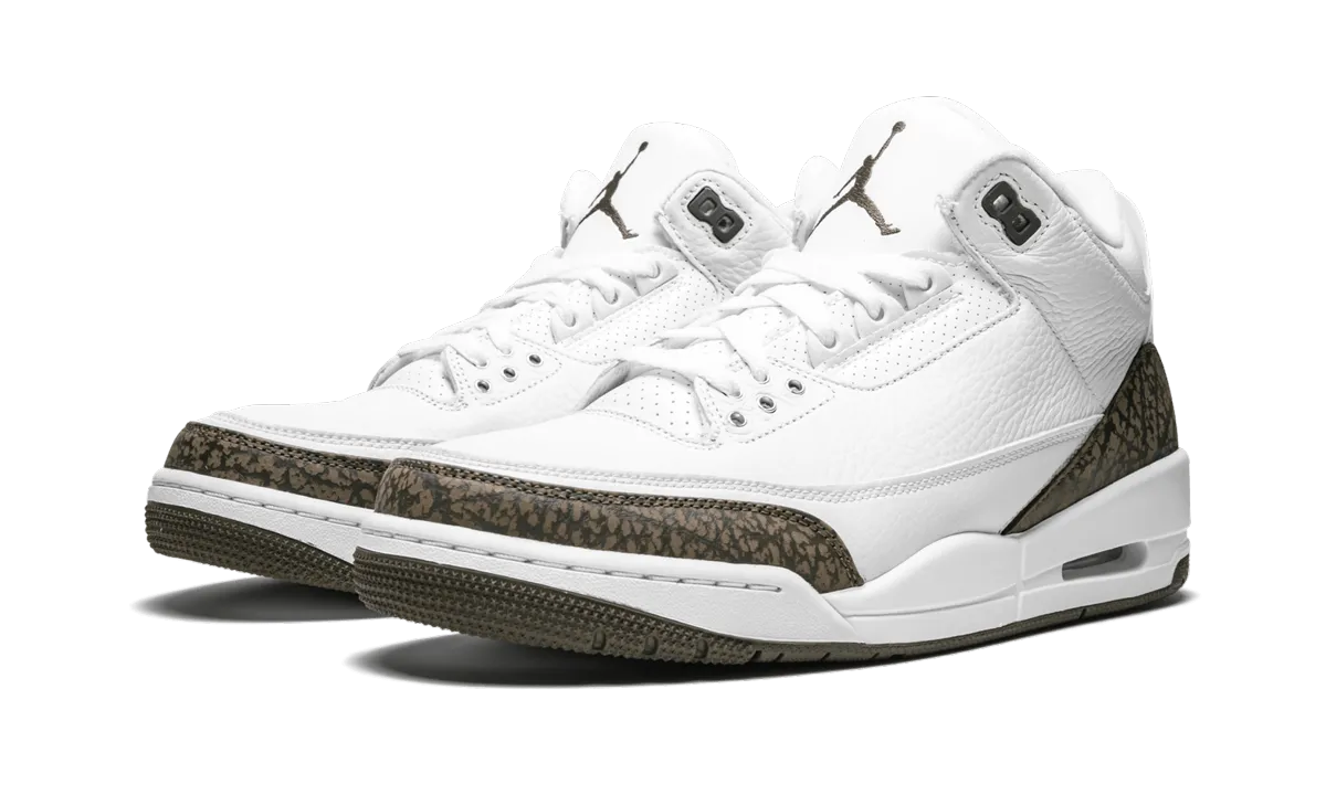 Air Jordan 3 Retro "Mocha" Cloudy Hike Clean Stitch