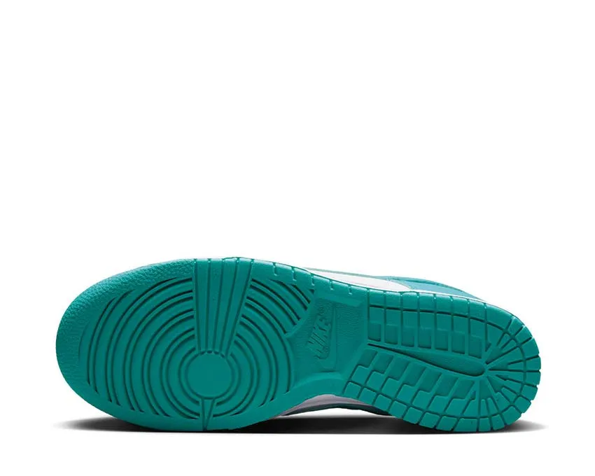 Lined Inside Nike Dunk Low W