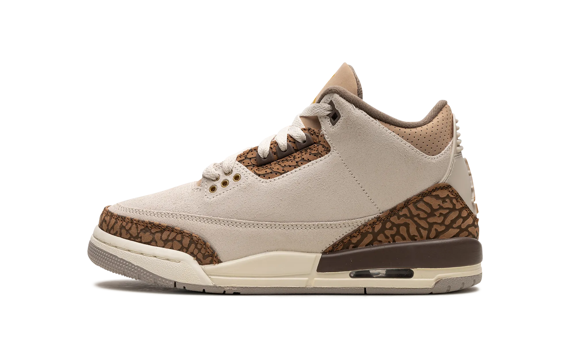 Air Jordan 3 GS "Palomino" Fitness Ready