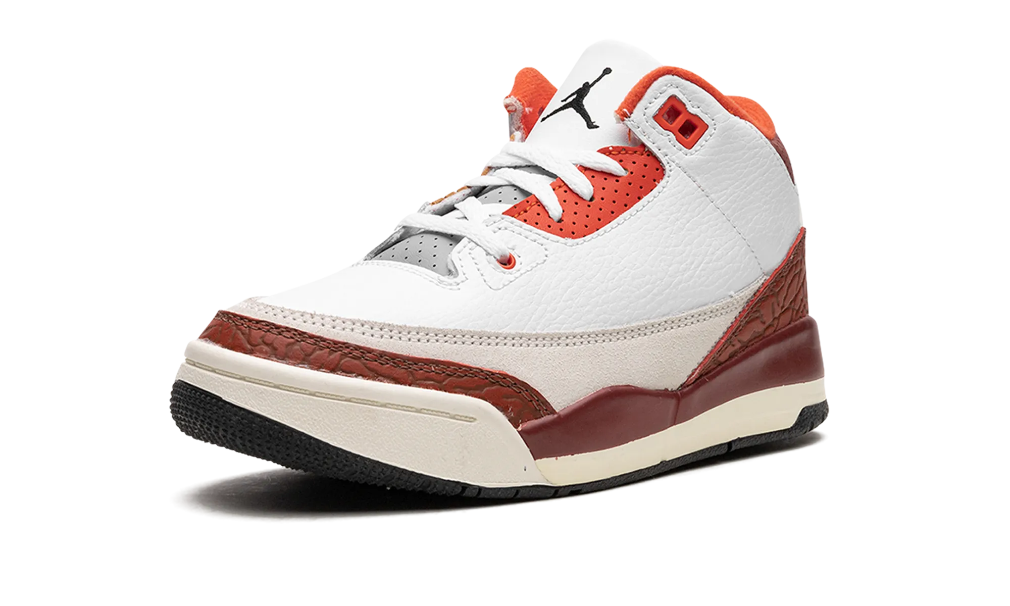Air Jordan 3 PS "Dunk On Mars" Dry Feet