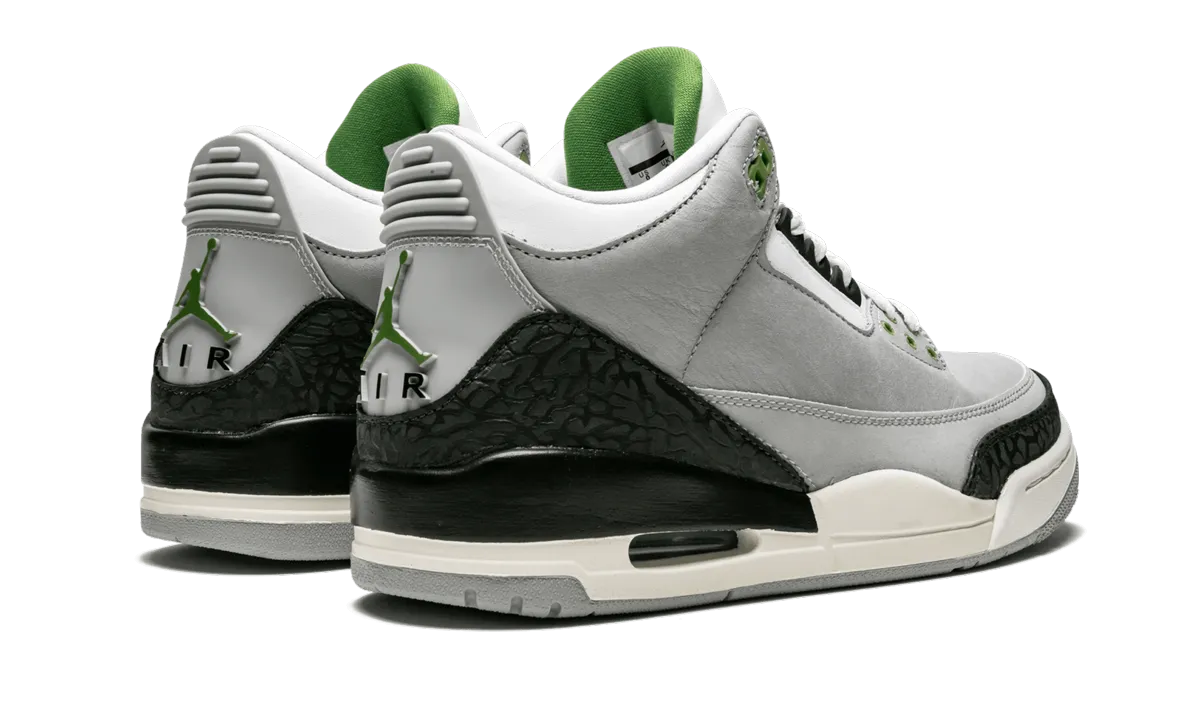 Air Jordan 3 Retro "Chlorophyll" Valley Step