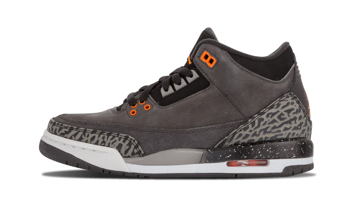 Air Jordan 3 Retro GS "Fear Pack" Easy Day