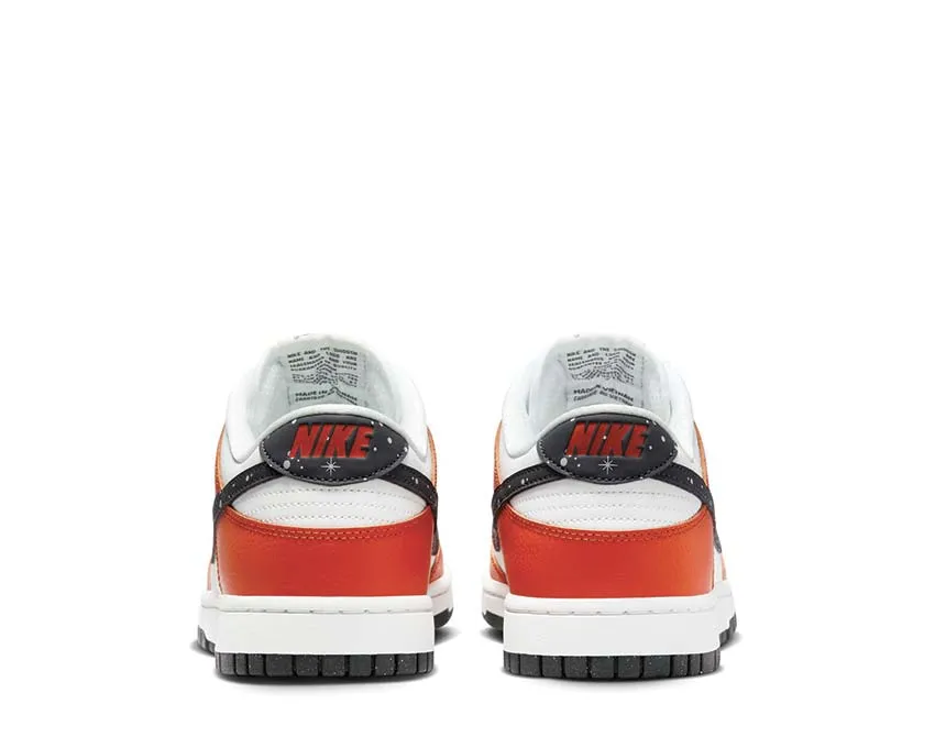 Nike Dunk Low Stability control Park Stroll