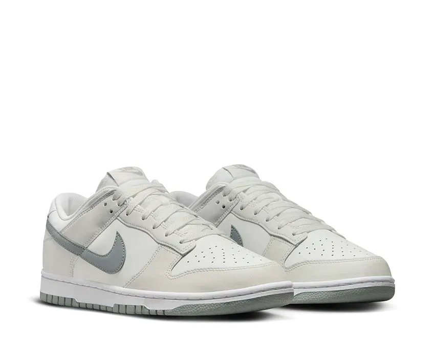 Daily Walk Nike Dunk Low Retro