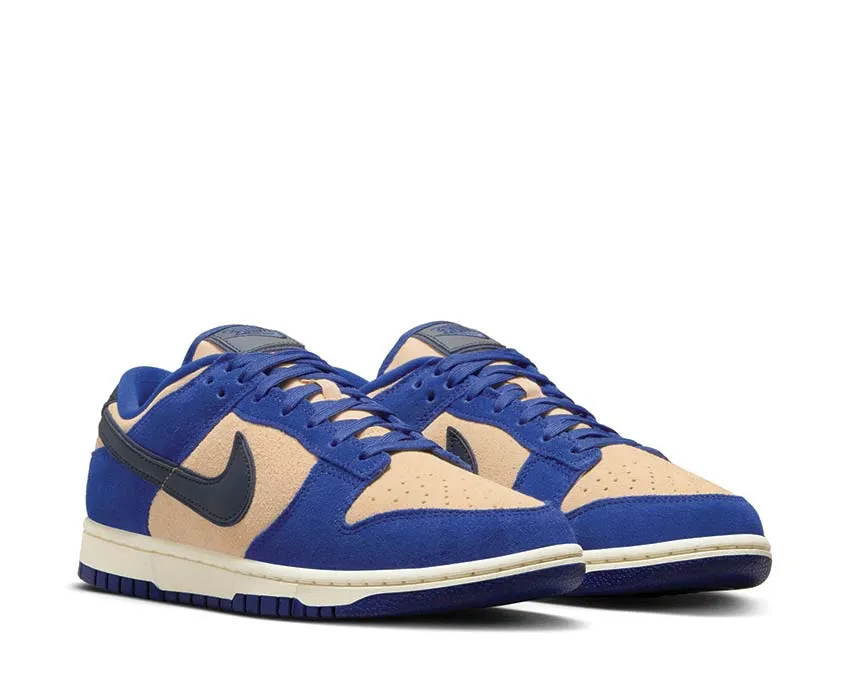 Nike Dunk Low Indoor Outdoor