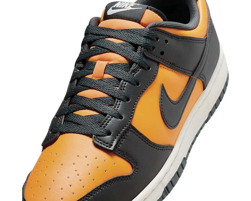 Nike Dunk Low Retro Park Stroll Ultra Run